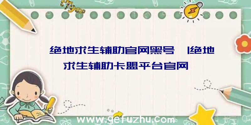 「绝地求生辅助官网黑号」|绝地求生辅助卡盟平台官网